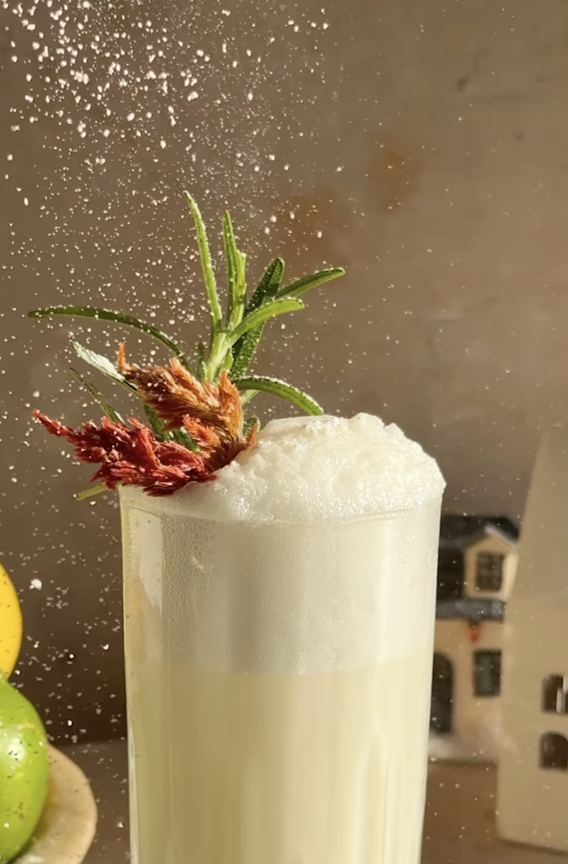 Snow Globe Gin Fizz